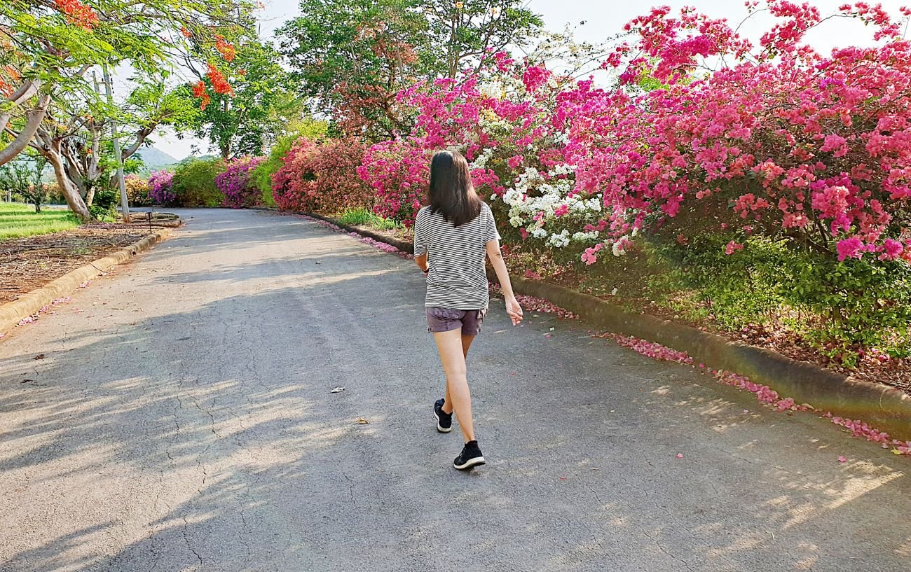 Una persona caminando por un camino rodeado de flores. 