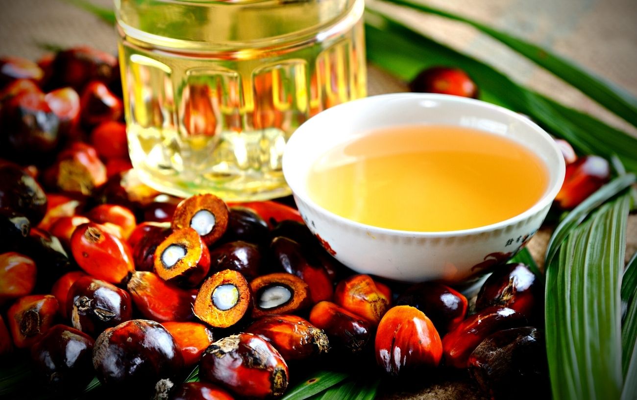 Aceite de palma y fruta de aceite de palma.