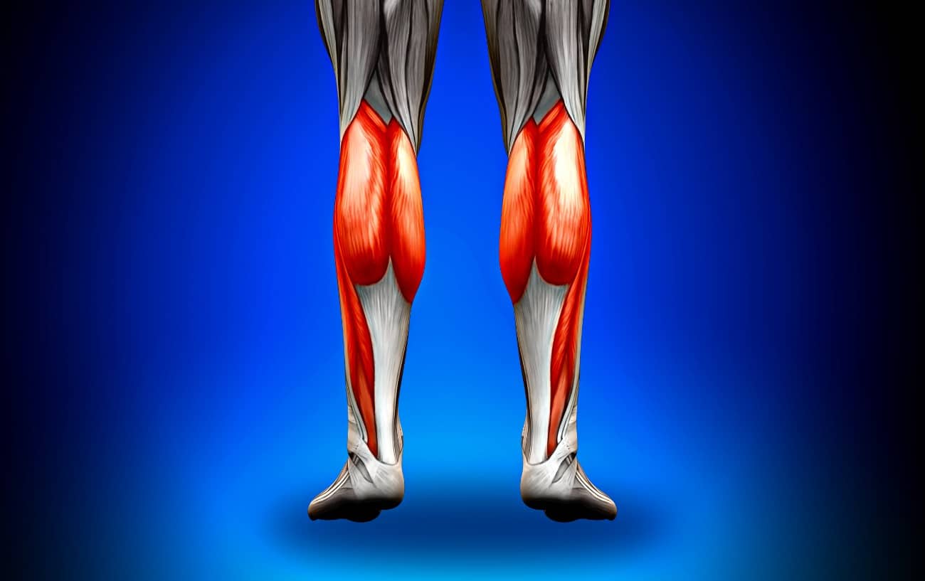 Los músculos de la pantorrilla en el cuerpo, resaltados en rojo.